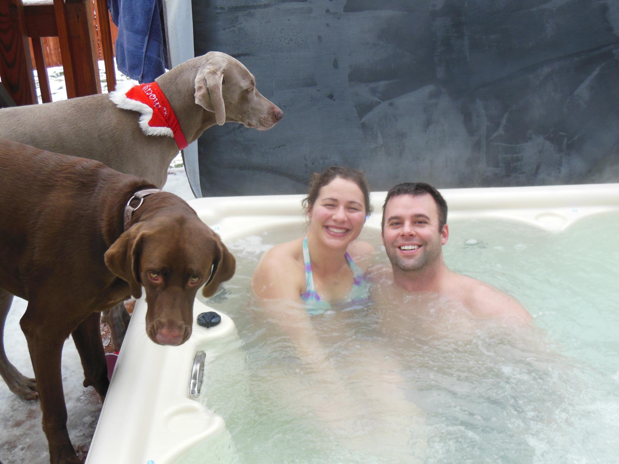 Dogs by hot tub